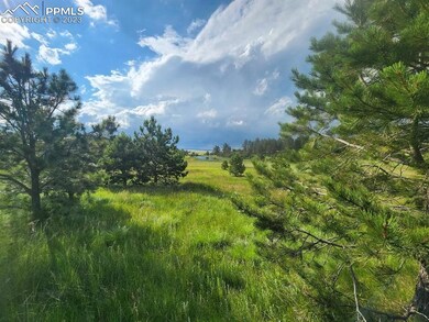 0 Hopper Rd unit 4878818, Peyton, CO 80831 - photo 4