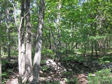 0 Post Hill Rd unit 201411258, Taghkanic, NY 12502 - photo 3