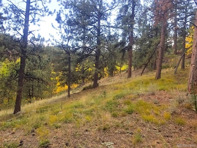 342 & 366 Brown Rd unit 70,71,72,73, Bailey, CO 80421 - photo 5