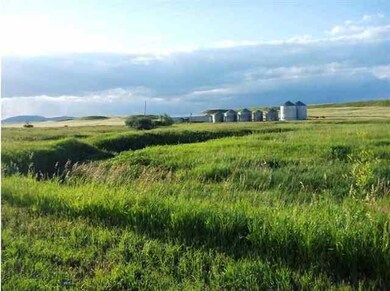 1961 Mccartney Rd, Grass Range, MT 59032 - photo 3