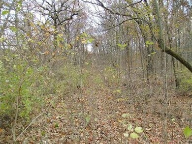 7801 W 121st Ave, Crown Point, IN 46307 - photo 5