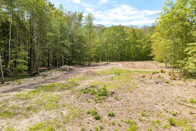 L#15 Rory Lane Private, Moultonborough, NH 03254 - photo 2