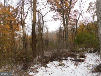 177 Riley Ct, Front Royal, VA 22630 - photo 7