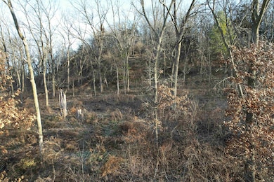 138 Peerless Rd, New Glarus, WI 53574 - photo 6