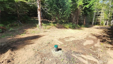 5742 Duane Ln NW, Olympia, WA 98502 - photo 6