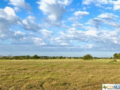 446 Wade Rd, Eddy, TX 76524 - photo 4