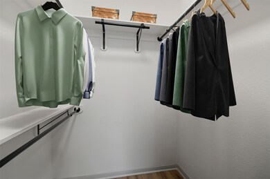 Spacious Walk-In Closet
