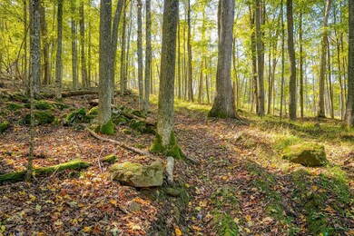 25140 Shurtz Rd, New Plymouth, OH 45654 - photo 5