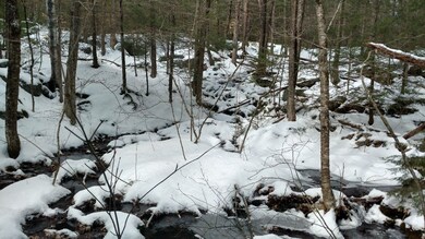 00 Woodward Dr, Milford, NH 03055 - photo 7