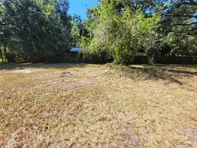 10216 Lake Ave, Tampa, FL 33619 - photo 7