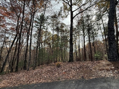 12 N Ridge Dr, Ellijay, GA 30540 - photo 7