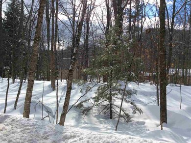 0 Jericho unit 4675486, Bartlett, NH 03812 - photo 5