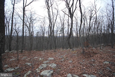 Lot 88 Wakeman Dr, Augusta, WV 26704 - photo 3