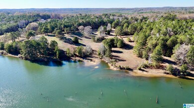 10000 Eastern Valley Rd, Woodstock, AL 35188 - photo 6