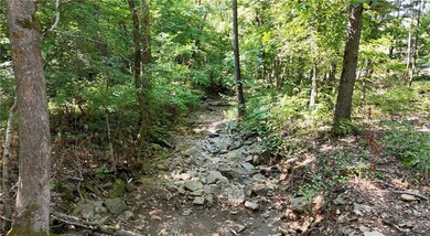 19.7 Acres Arkansas 156, West Fork, AR 72774 - photo 5