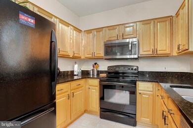 4550 Strutfield Ln unit 2128, Alexandria, VA 22311 - photo 7