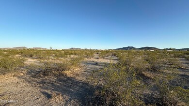 IMG_1334