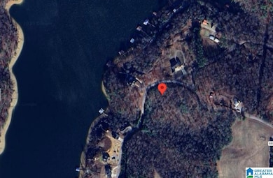 0 County Road 907 unit 21435407, Crane Hill, AL 35053 - photo 4