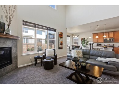 392 Cade St, Brighton, CO 80601 - photo 5