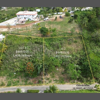 0 Carr 413 Interior Km 4 Lot #1 Bo Puntas unit MFRPR9101867, Rincon, PR 00677 - photo 3