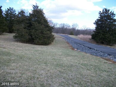 0 Cave Ridge Rd unit 1002898426, Mount Jackson, VA 22842 - photo 5