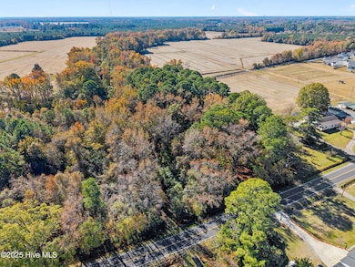 3278 Moye-Turnage Rd, Farmville, NC 27828 - photo 6