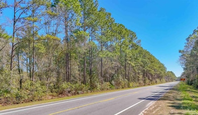 0 Lot 2 State Rd, Tallahassee, FL 32310 - photo 3