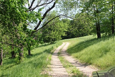 IMG_8517 - Copy