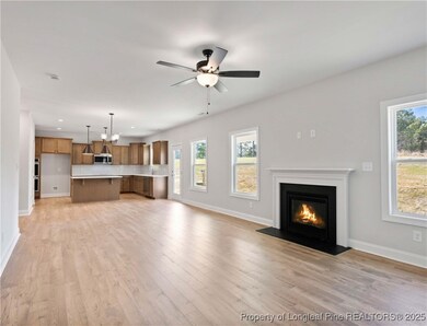 459 Pinnacle Ct, Five Points, NC 28376 - photo 7