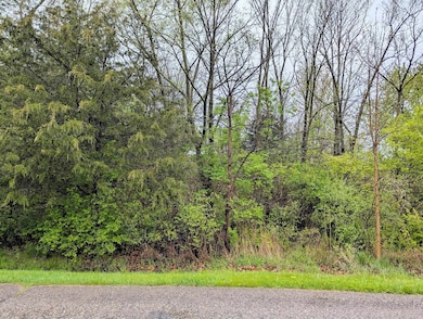 3371 Ann Dr, Flushing, MI 48433 - photo 4