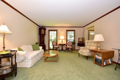 Spacious living room freshly painted