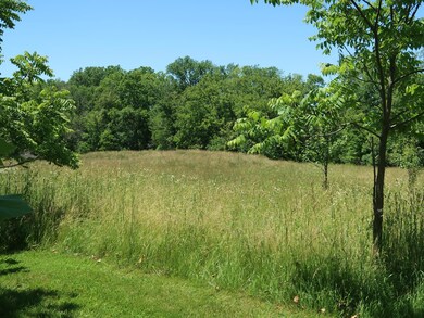 IMG_5678 (Copy)