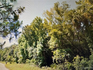 10043 W Holloway Path, Crystal River, FL 34429 - photo 5