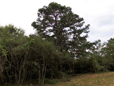 30320 Hegar Rd, Hockley, TX 77447 - photo 5