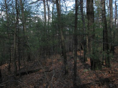 0 Tower Rd, Liberty Township, PA 17821 - photo 3