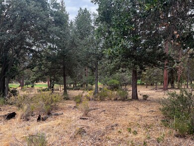 Lot 29 Siskin Ln, Klamath Falls, OR 97601 - photo 6