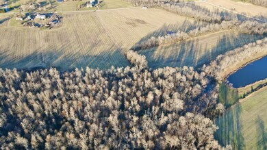 4 Duncan St, Manchester, TN 37355 - photo 4