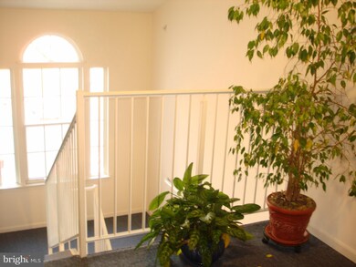 22 Willow Path Ct unit 22, Nottingham, MD 21236 - photo 3