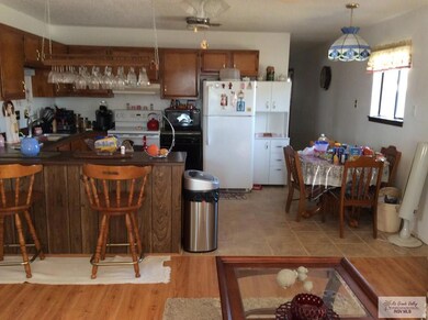 1001 La Costa Dr, Alamo, TX 78516 - photo 3