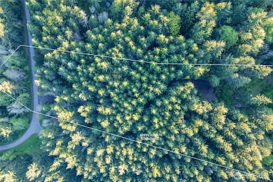 0 Discovery Ridge Rd unit NWM2364795, Port Townsend, WA 98368 - photo 2