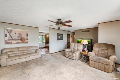 4202 Orchard Dr, Galesburg, IL 61401 - photo 3