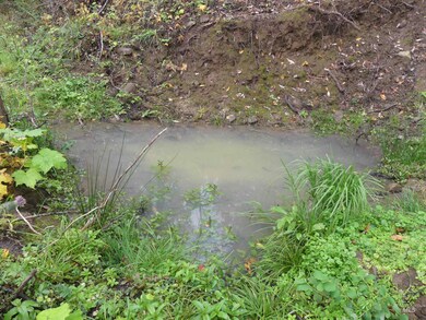 1762 Tranquil Lane (#4), Orofino, ID 83544 - photo 6