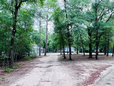 Secluded Drive
