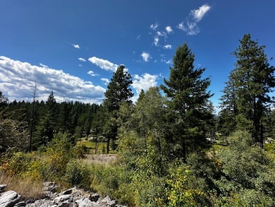 56 Bridle Ct, Bigfork, MT 59911 - photo 2