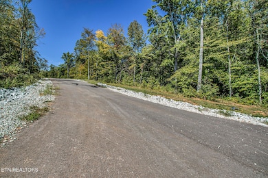 167 Canter Way, Lenoir City, TN 37771 - photo 6