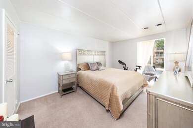 2646 Redcoat Dr unit 107, Alexandria, VA 22303 - photo 6