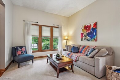 Living room with carpet