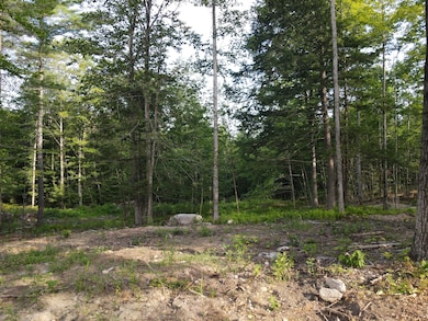 Lot 1 Oak Pond Rd, Skowhegan, ME 04967 - photo 2