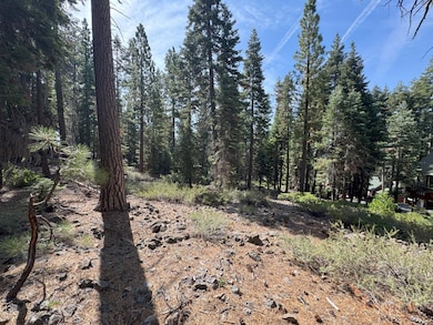 5255 N Lake Blvd, Carnelian Bay, CA 96140 - photo 3