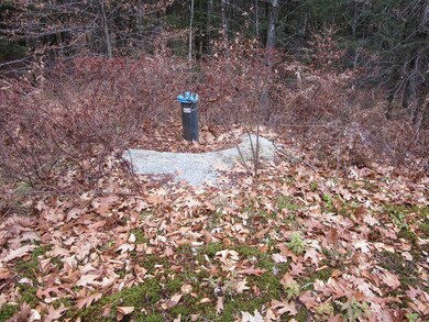 805 Wellington Hill Rd E, Putney, VT 05346 - photo 6